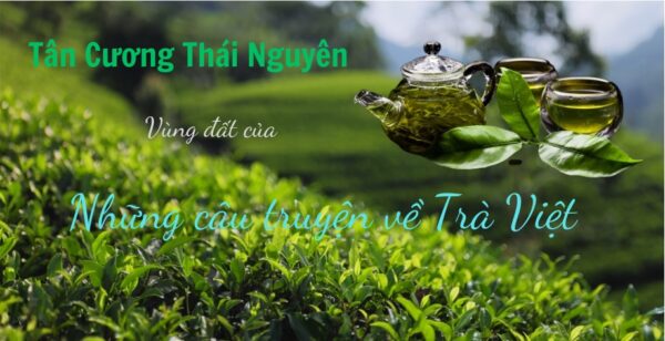 Tân Cương Thái Nguyên